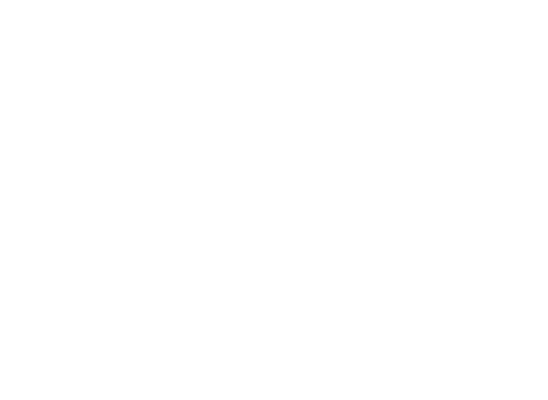 Three Day Weekend Photography